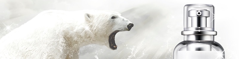 �R�X�p���Q�̔��e�t�u�t�@�C�i���z���C�g�v���T�C�g